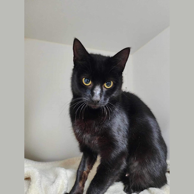 Photo of 🌳 Willow 5248 🌳