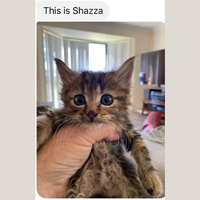 Photo of Shazza
