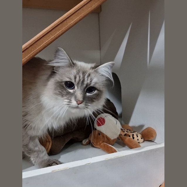Photo of Dora