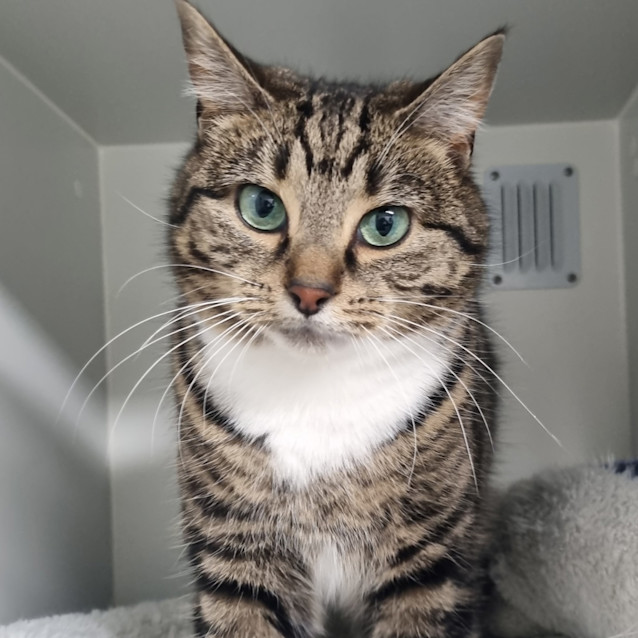 Photo of Wendy