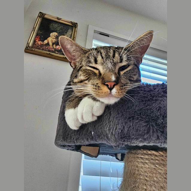 Photo of Jasper & Chip