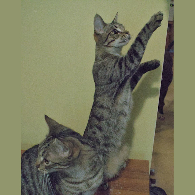 Photo of Logan & Leroy 💙