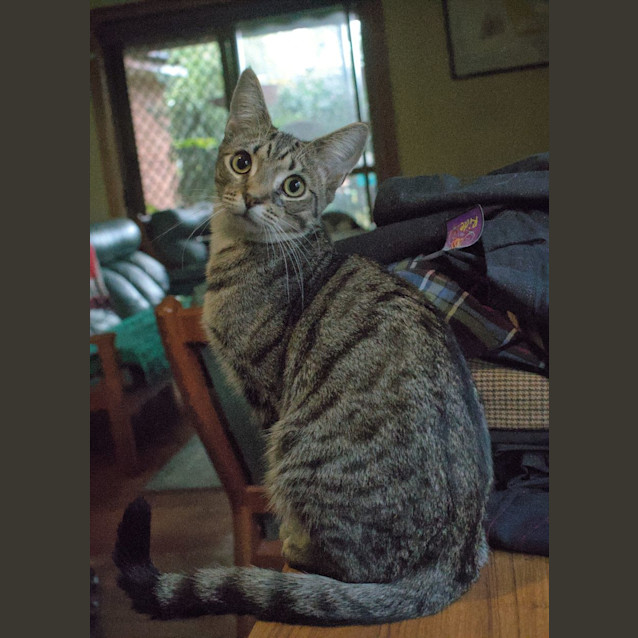 Photo of Logan & Leroy 💙