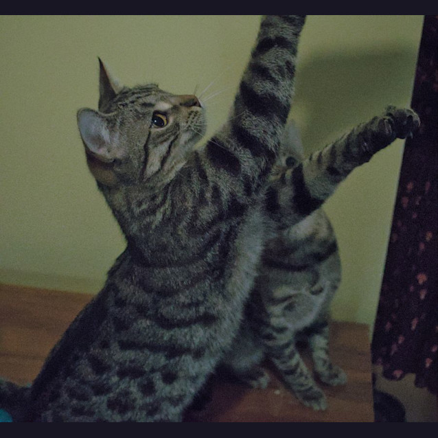 Photo of Logan & Leroy 💙