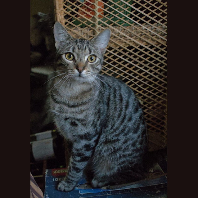 Photo of Logan & Leroy 💙