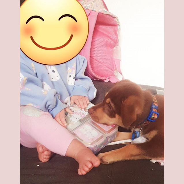 Photo of Bear (Teddy Bear)