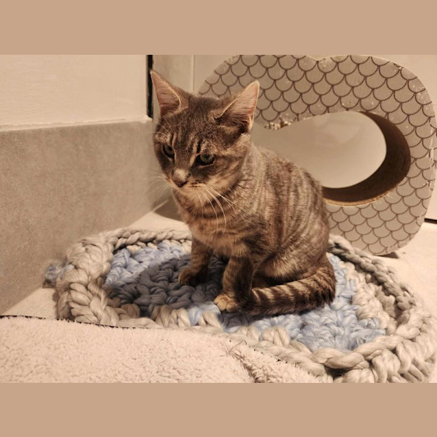 Photo of 🎭 Marcel 🎭