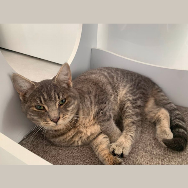 Photo of 🎭 Marcel 🎭