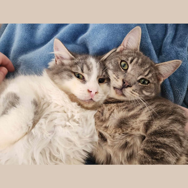 Photo of 🎭 Marcel 🎭