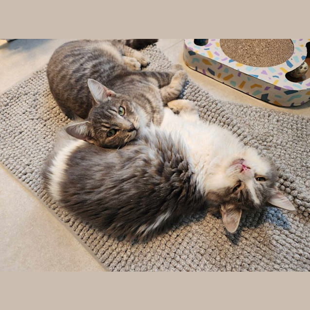 Photo of 🎭 Marcel 🎭