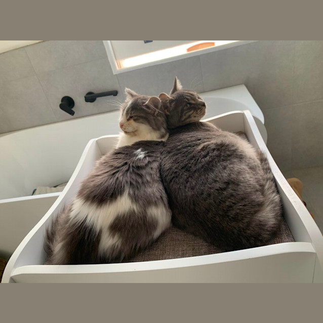 Photo of 🎭 Marcel 🎭