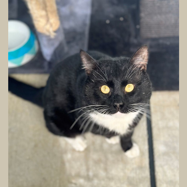 Photo of Lucky 