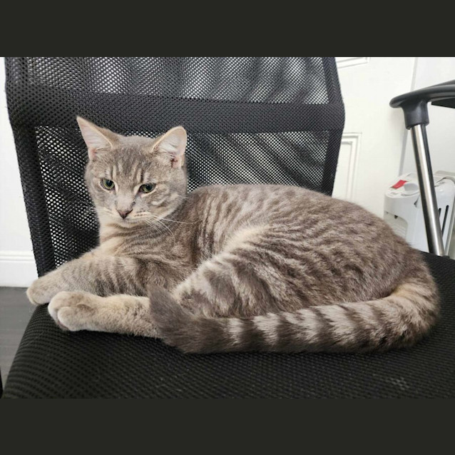 Photo of 🎭 Marcel 🎭