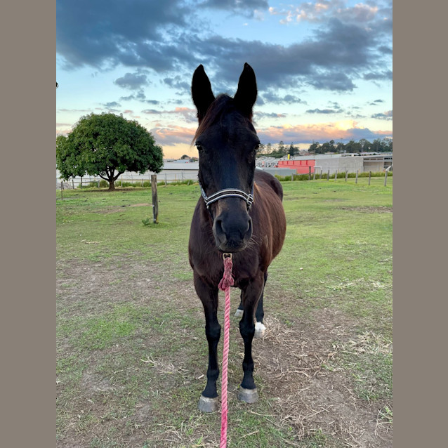 Photo of Jazz 