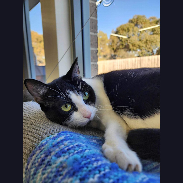 Photo of 🍿 Tahini 5063 🍿