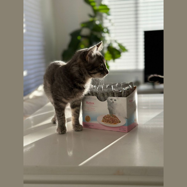 Photo of Charlotte