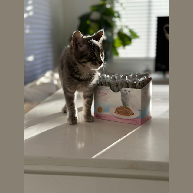 Photo of Charlotte
