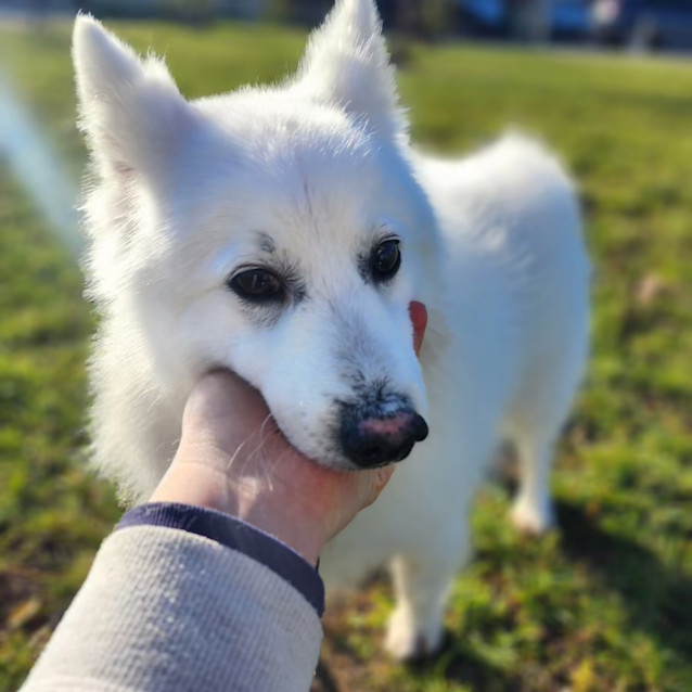 Photo of Noah