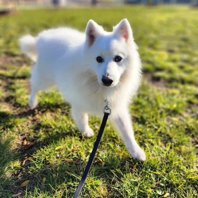 Photo of Noah