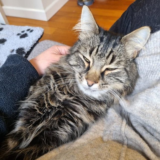 Photo of Bella   Located In Preston