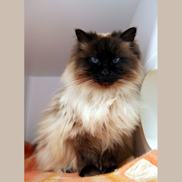 Photo of Bianca Sta012797