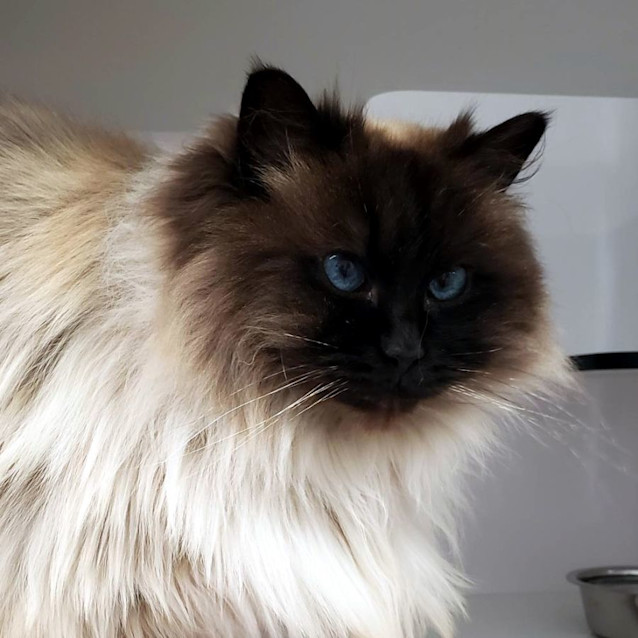 Photo of Bianca Sta012797