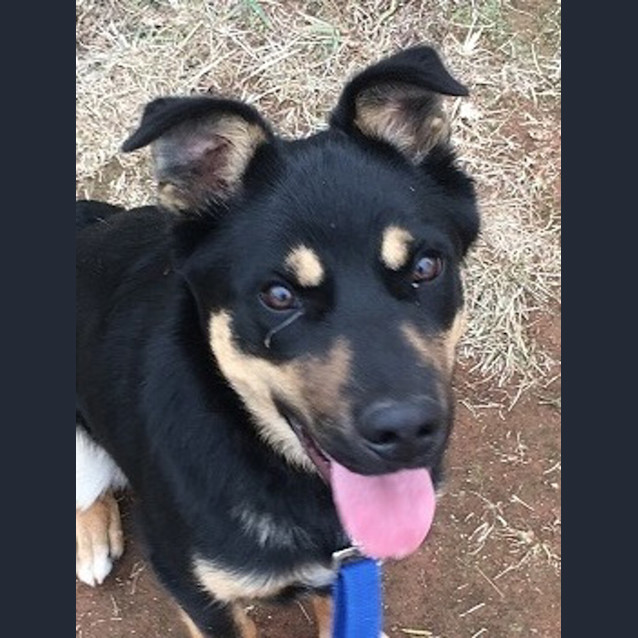 Photo of Fletch