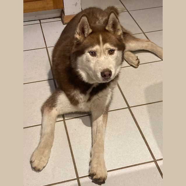 Photo of Thor