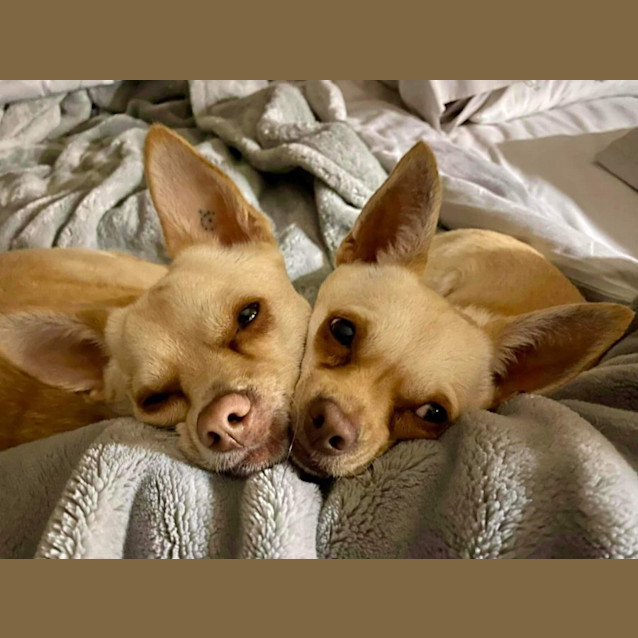 Photo of Benji And Enzo