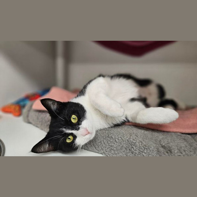 Photo of Leila