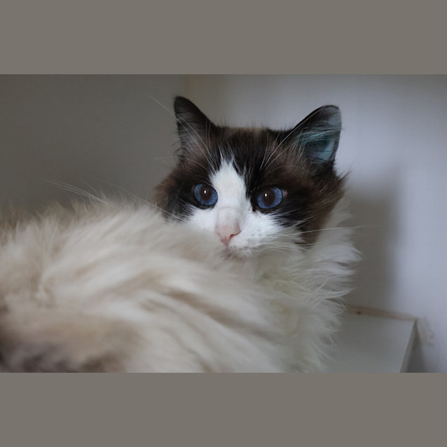Photo of Tilly