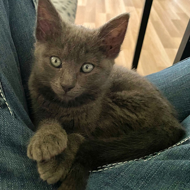 Photo of Freya