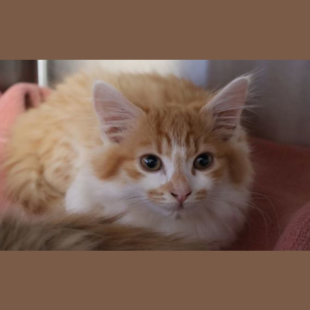 Photo of Todd