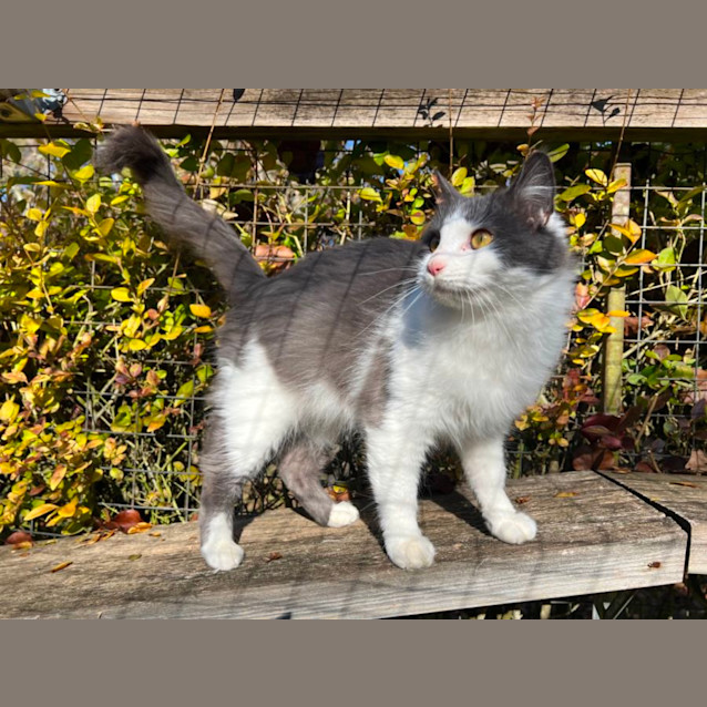 Photo of Indigo Haliwell