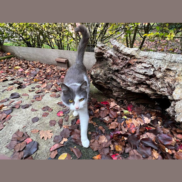 Photo of Indigo Haliwell