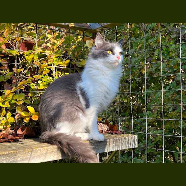 Photo of Indigo Haliwell