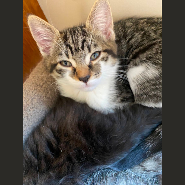 Photo of April  Meet Me At Pet Stock Dandenong