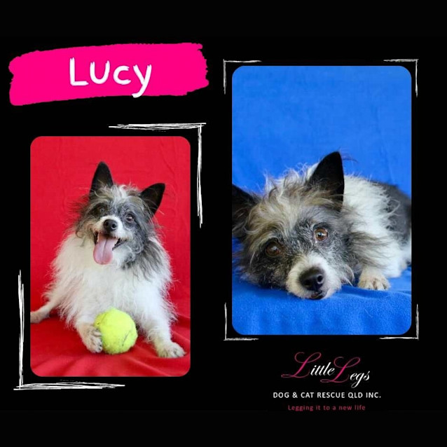 Photo of Lucy