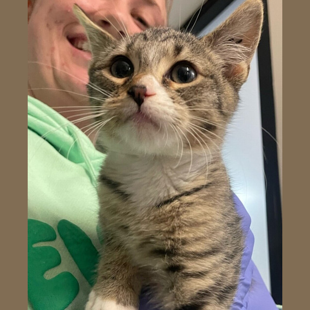 Photo of Rascal