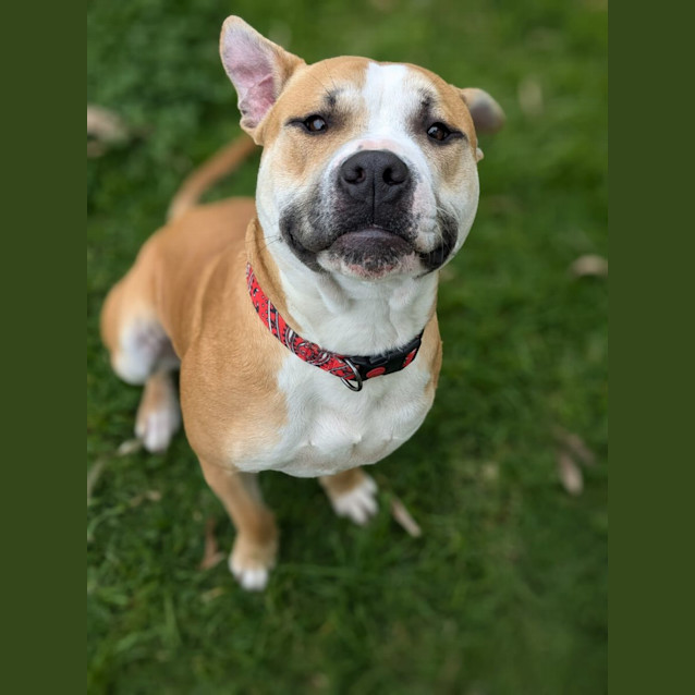 Photo of 🌊 Oakley 5275 🌊