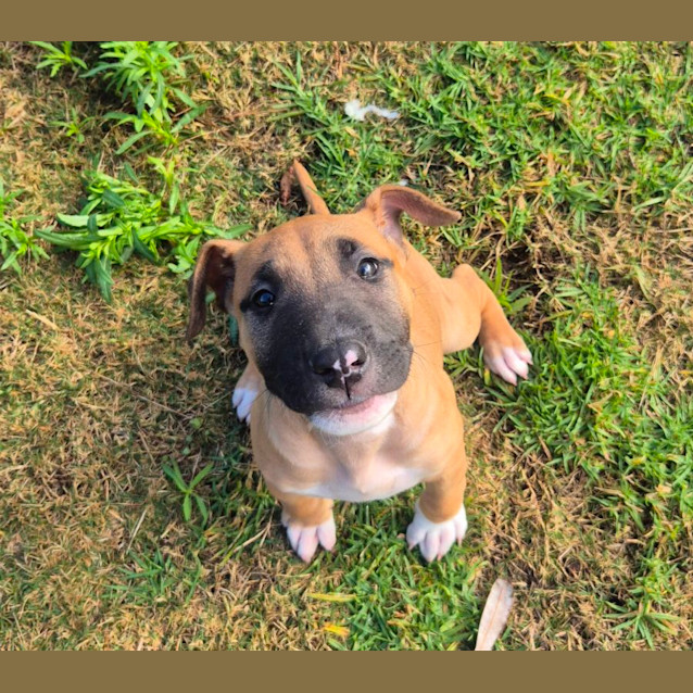 Photo of Tayla (6549)