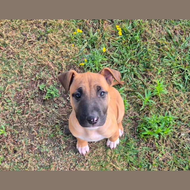 Photo of Tayla (6549)