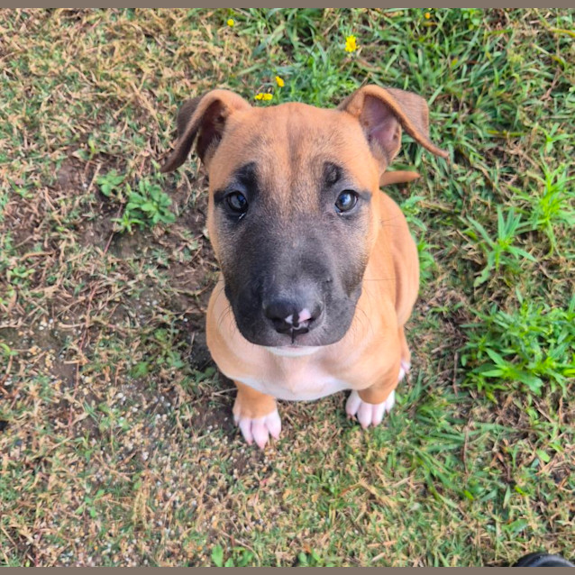 Photo of Tayla (6549)