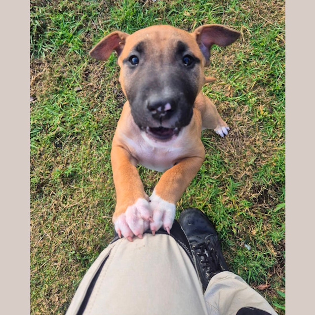 Photo of Tayla (6549)