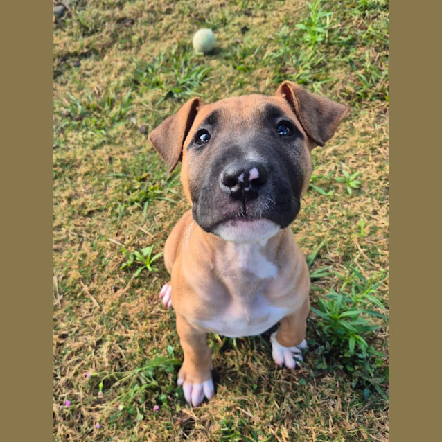 Photo of Tayla (6549)