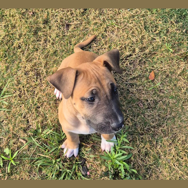 Photo of Tayla (6549)