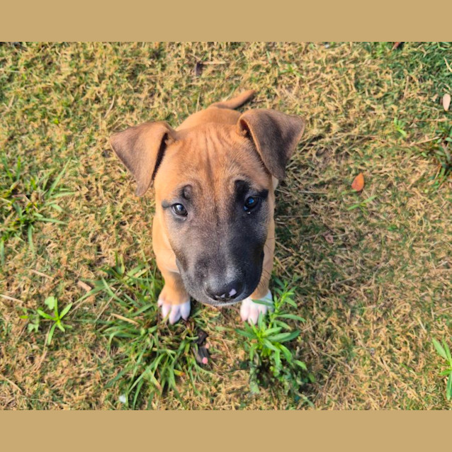 Photo of Tayla (6549)