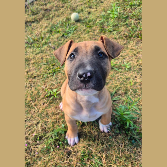 Photo of Tayla (6549)