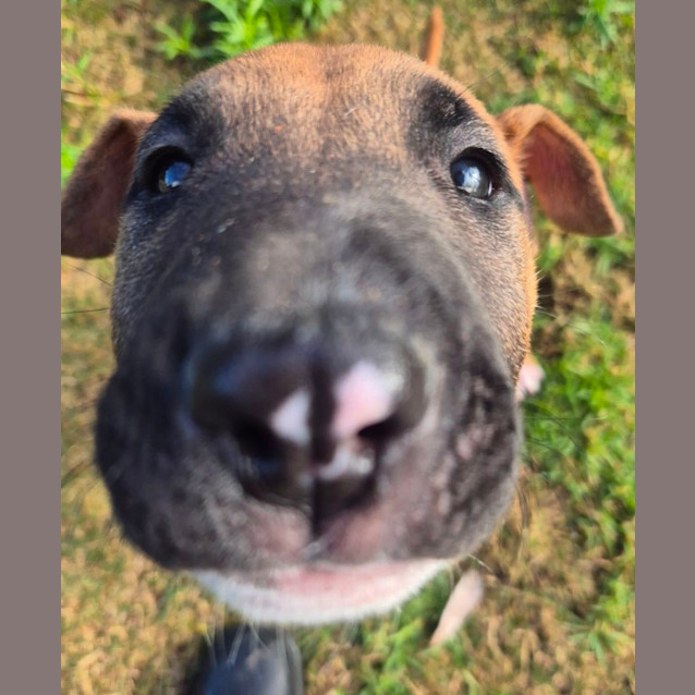 Photo of Tayla (6549)