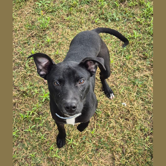 Photo of Derek (6530)